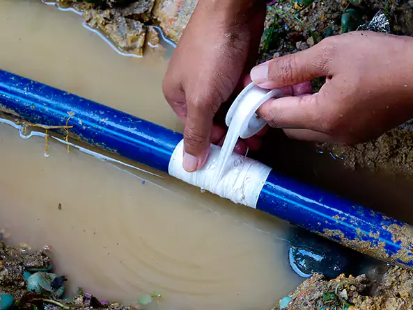  Why Choose Deerfield Plumbing Pro for Leak Detection in Deerfield Beach, FL?]