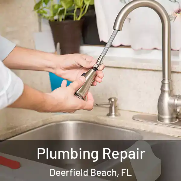  Plumbing Repair Deerfield Beach, FL